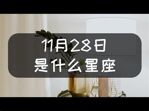 11月28號星座|11月28日出生的星座